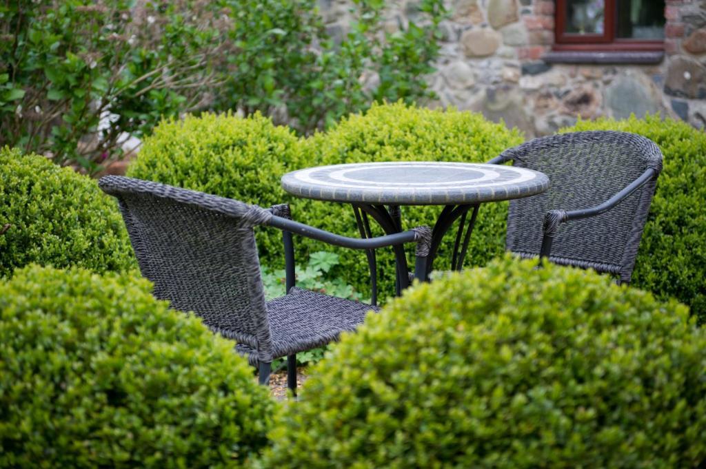 Tyn Rhos Country House Caernarfon Quarto foto